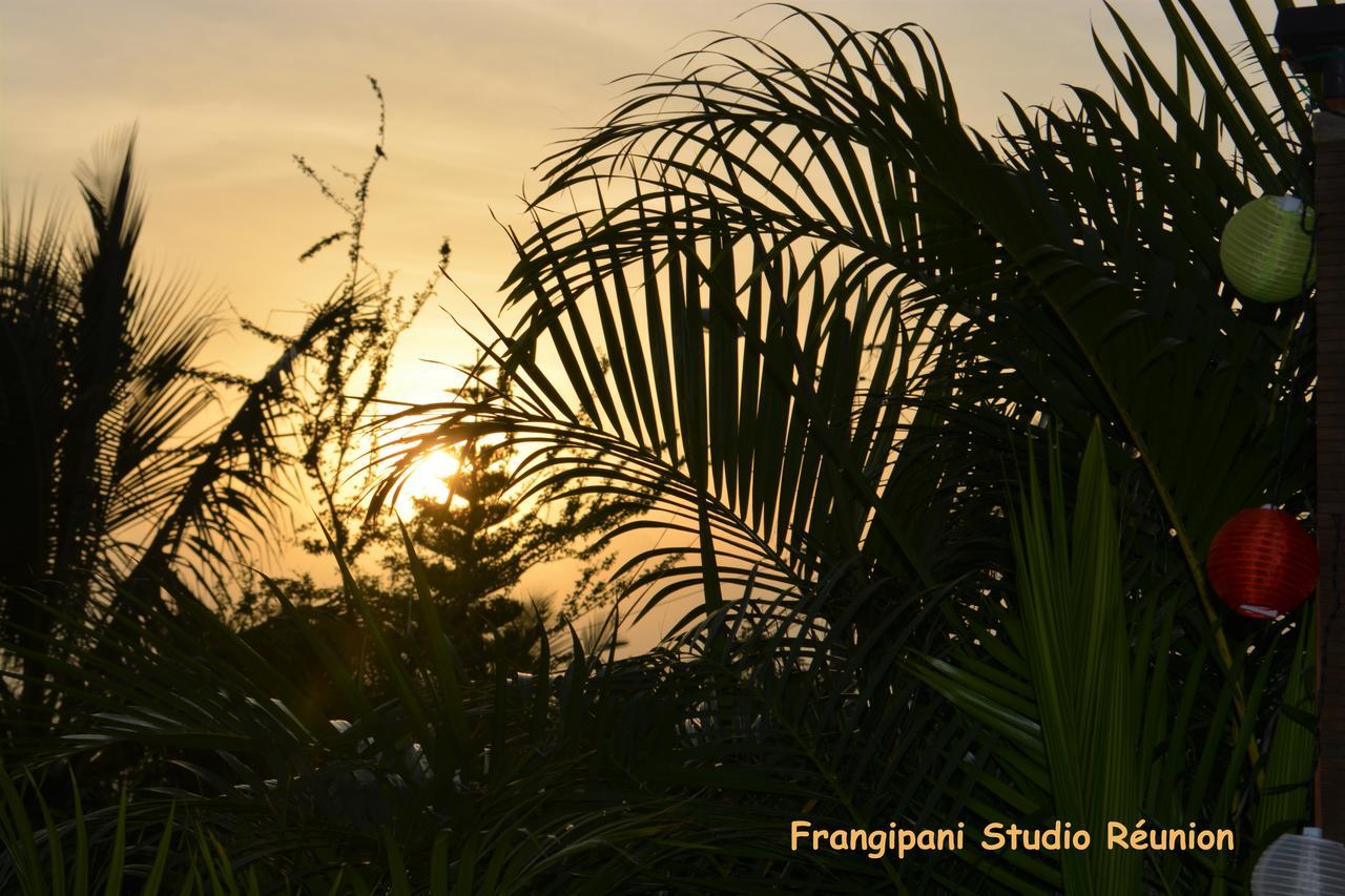 Apartmán Frangipani Studio Reunion La Saline Le Bains Exteriér fotografie